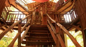 Don Jon's Surf and Yoga Lodge - Image 5