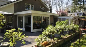 B&B Porcini - Image 3