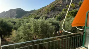 Hotel Jenny - Image 4
