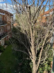 Regents Gate - Image 3
