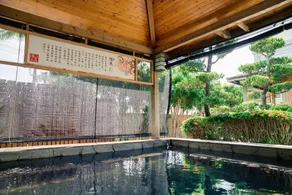Qingquan Japanese Hot Springs - Image 3