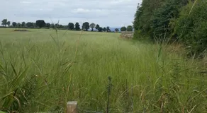 Edenroc - Image 4