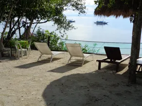 Sea Turtle House Moalboal - Image 5