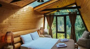 Cottage Galileo in Abastumani - Image 2