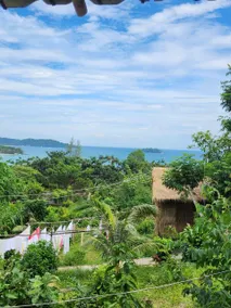 Sweet Jungle Bungalows - Image 2
