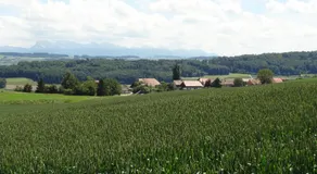 Gîte La Grange - Image 4