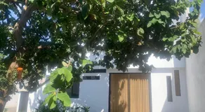 Suite Los Naranjos - Image 4