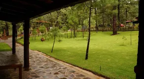 Rincón del Bosque - Image 4