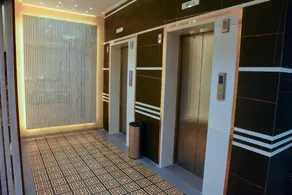 Dasara Executive - Image 5