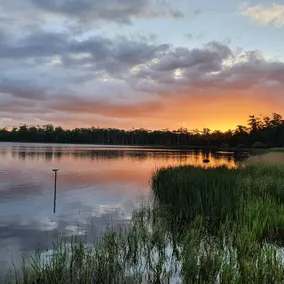 Lake Yalleena Nature Retreat - Image 4