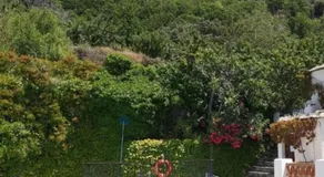 La Casita del Árbol Blanco - Image 5