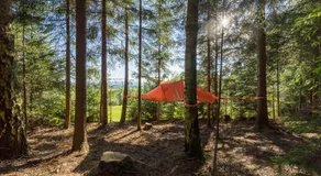 Baumzelt im Wald - Image 1