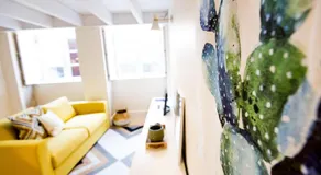 Studio Tomás Gonzaga - Image 3