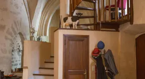 Joshroom - Image 5