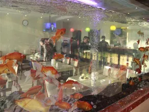 Green Tree Inn Wuhu Jiangbei Shen'gang - Image 2