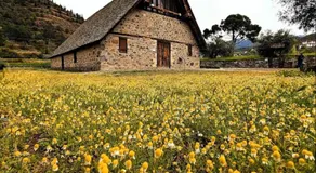Anastasi Tiny Homes- Mountain Views, Garden & Terrace, Pet Friendly - Image 5