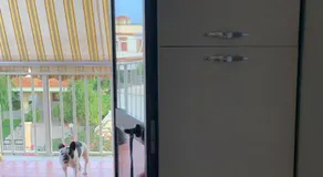 La Dolce Vita - Image 5