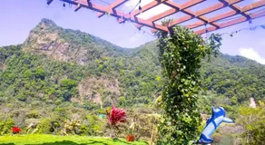 Casa Elalto Panamá - Cabaña de Montaña En San Carlos Panamá - Image 3