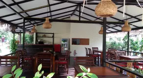 Lucky Gecko Garden - Image 3