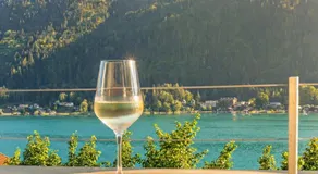 Lake Lodge Ossiacher See - Image 3