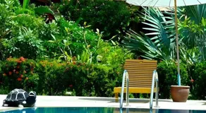 Gerd and Noi resort - Image 3