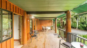 Atherton Blue Gum  - Image 4