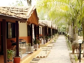 Safari Narayani Hotel - Image 2