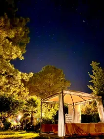 Okyanus Kıyısı bungalov çıralı - Image 2