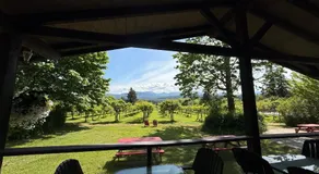 Kiwi Cove Lodge - Image 4