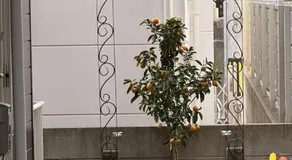 Cherry House 168 福大店 - Image 4