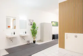 Robin Wood Capsule Hostel - Image 3