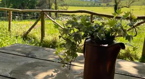 Bracken Barns Glamping & Massage - Image 3