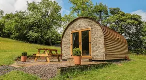 DINGLE DEN, admite mascotas en Craswall, Herefordshire, Ref 986635 - Image 5
