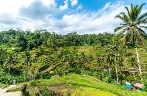 Ubud Villas - Image 5