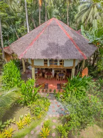 Water to Forest Ecolodge - Image 3