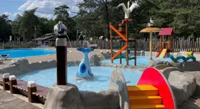 Vakantiepark Hertenhorst - Image 5