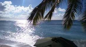 Steps 2 the Beach - Image 5