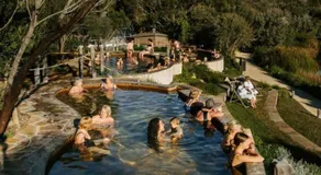 Beach Cottage. 100m to the beach 9minutes to Hot Springs. Pet Friendly - Image 3