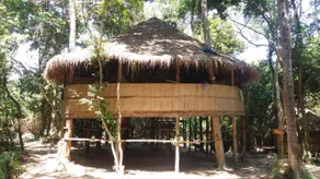 Kactus - Your Island Sanctuary - Image 2