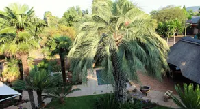 @Home in the East - Image 4
