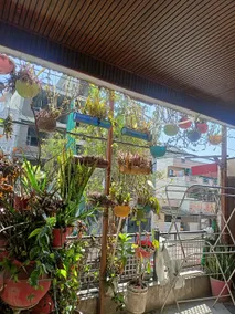 Bhopal Stay Nehru nagar - Image 3