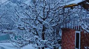 Jugni -The Farmstay - Image 4