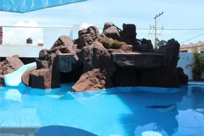 Plaza Marina Mazatlan - Image 3
