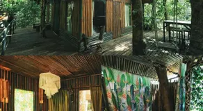 Khao Sok Tree House Resort - Image 3
