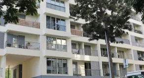 Uptown Madalenas - Image 5