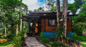 Selva Madre Eco-Sanctuary - Image 5