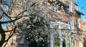 B&B Villa Anna, Venlo - Image 4
