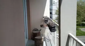 Appartement spacieuxP gratuitplage à 13 min proche tram - Image 4