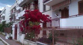 La Vie en Rose Mattinata - Image 5