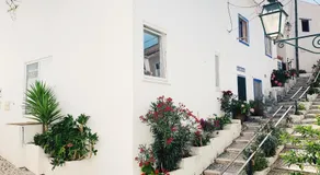 Modern Beautiful House - Image 4